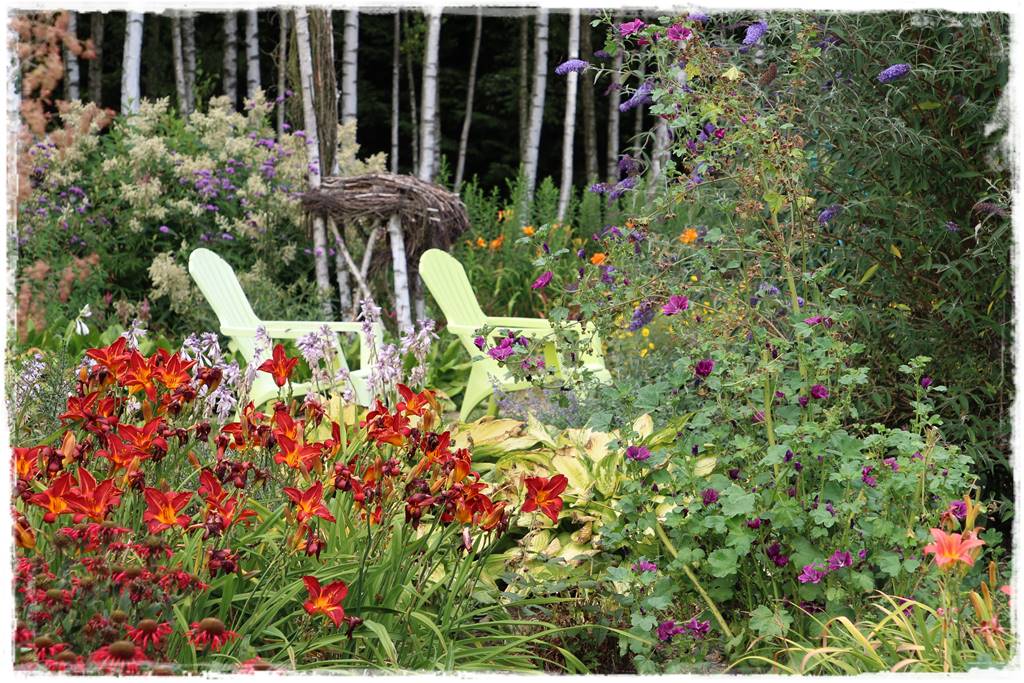 Wieloletnie kwiaty na rabatę 4d Wieloletnie kwiaty na rabatę 4d