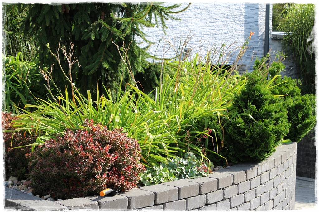 Wieloletnie kwiaty na rabatę 4f Wieloletnie kwiaty na rabatę 4f