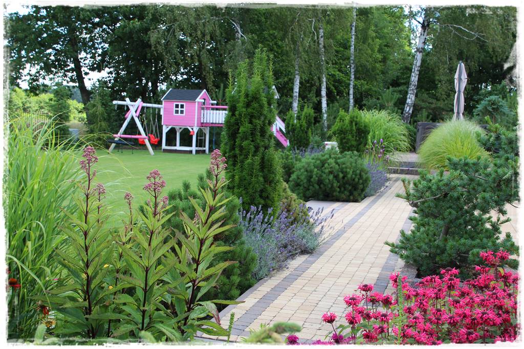 Wieloletnie kwiaty na rabatę 6f Wieloletnie kwiaty na rabatę 6f