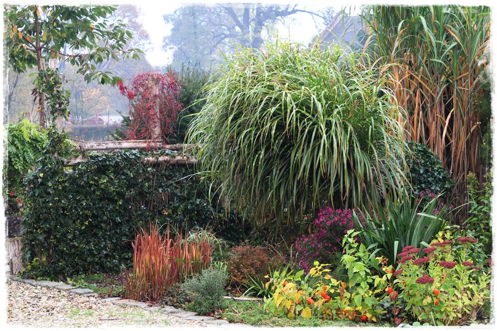 Wieloletnie kwiaty na rabatę 7b Wieloletnie kwiaty na rabatę 7b