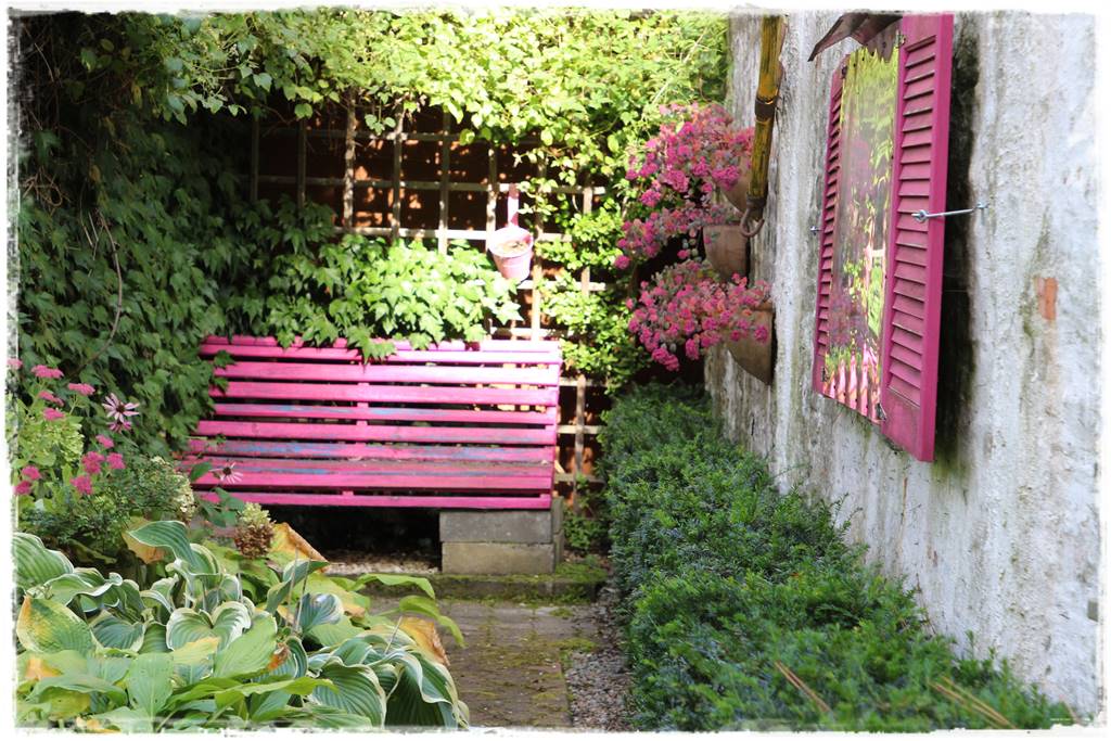 Wieloletnie kwiaty na rabatę 7d Wieloletnie kwiaty na rabatę 7d