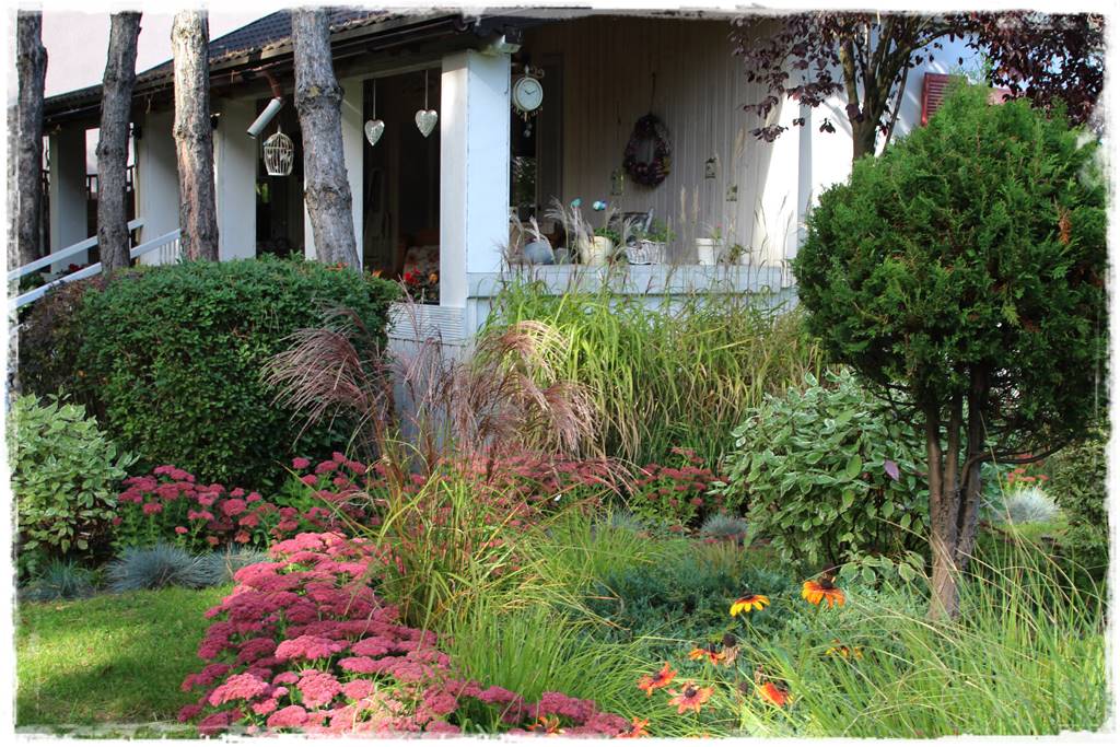 Wieloletnie kwiaty na rabatę 7f Wieloletnie kwiaty na rabatę 7f