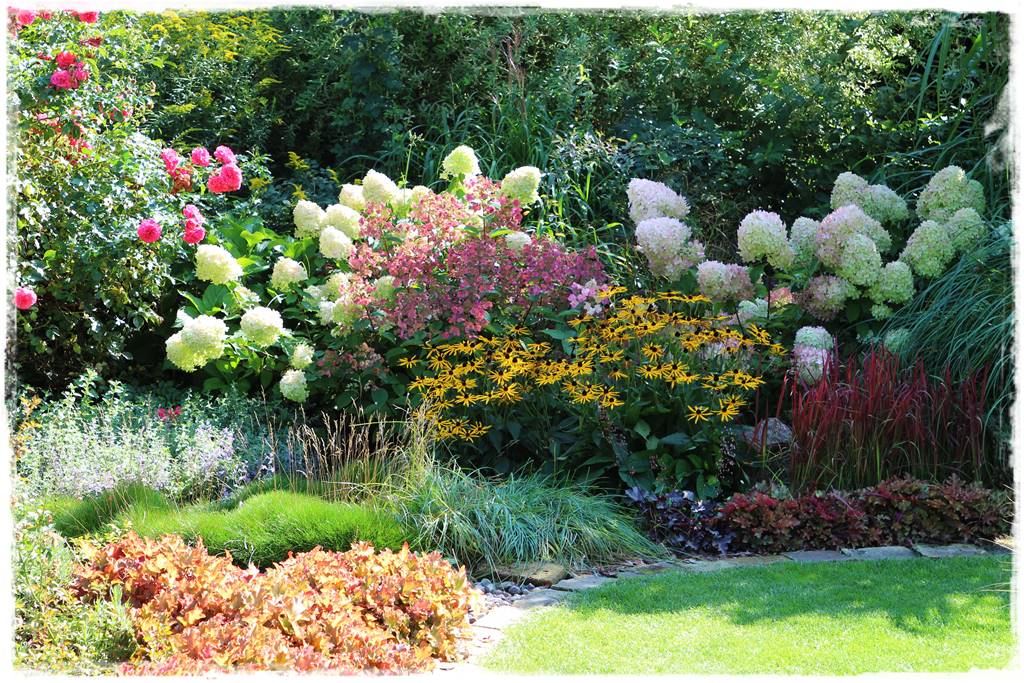 Wieloletnie kwiaty na rabatę 8e Wieloletnie kwiaty na rabatę 8e