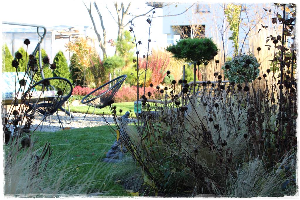 Wieloletnie kwiaty na rabatę 8f Wieloletnie kwiaty na rabatę 8f