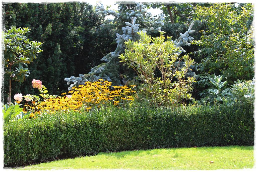 Wieloletnie kwiaty na rabatę 8g Wieloletnie kwiaty na rabatę 8g