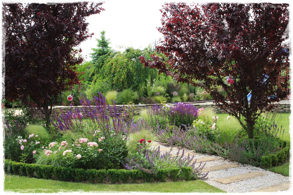 Wieloletnie kwiaty na rabatę 9f Wieloletnie kwiaty na rabatę 9f