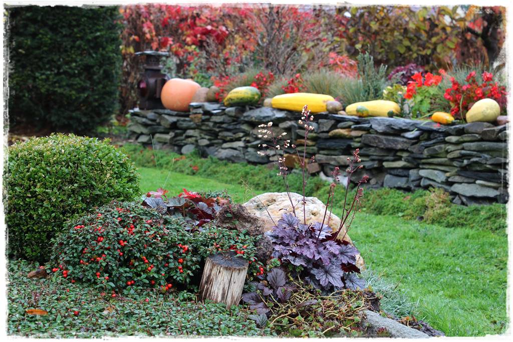 Zimozielone liście 10