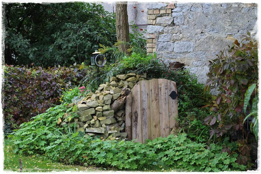 Zimozielone liście 10d