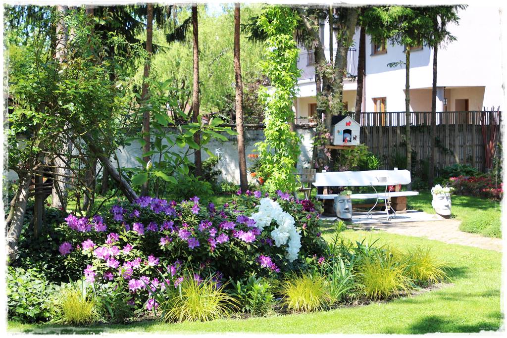 Zimozielone liście 1h