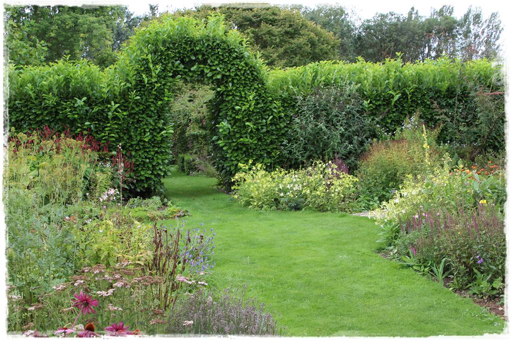 Zimozielone liście 2b