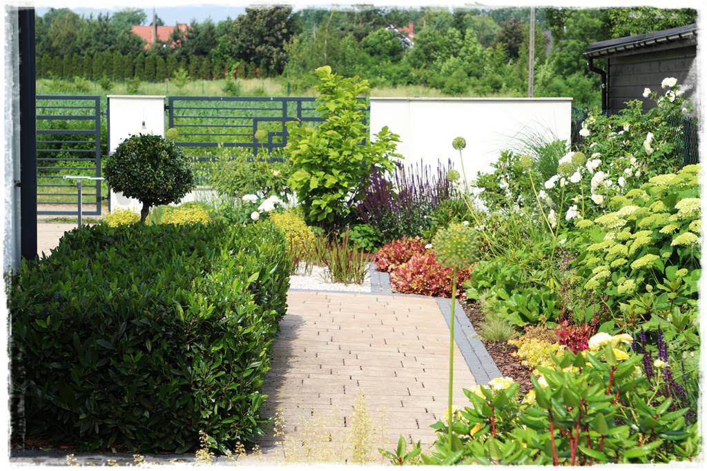 Zimozielone liście 2e