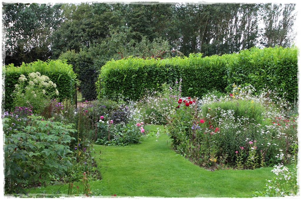 Zimozielone liście 2f