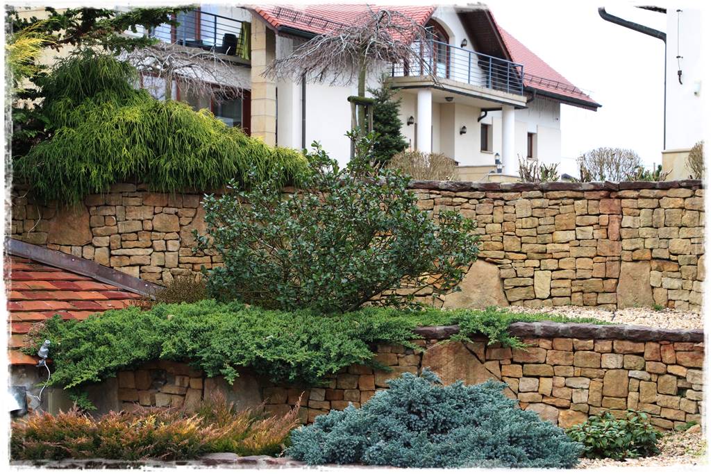 Zimozielone liście 3b