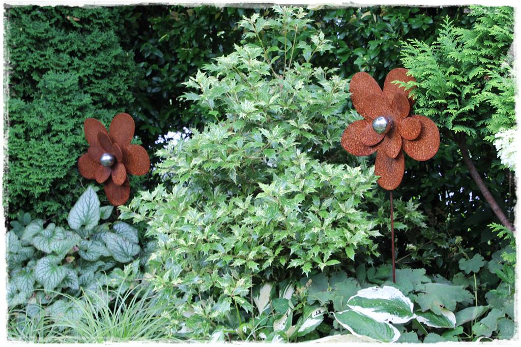 Zimozielone liście 3c