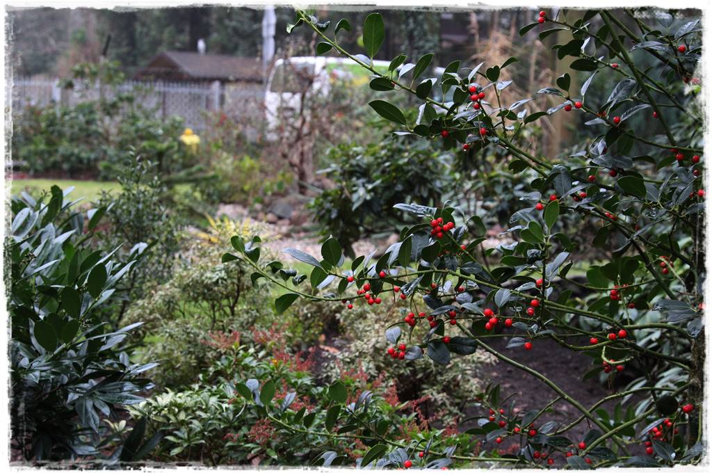 Zimozielone liście 3d