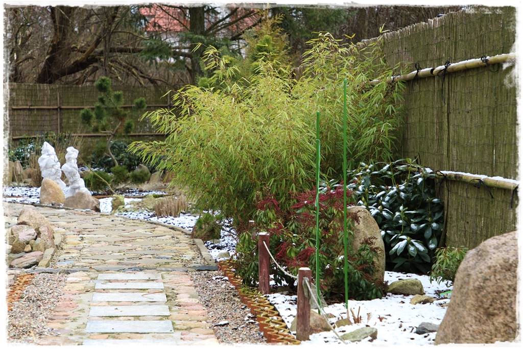 Zimozielone liście 5f