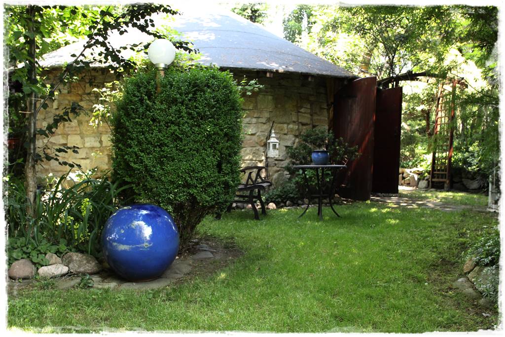 Zimozielone liście 6c