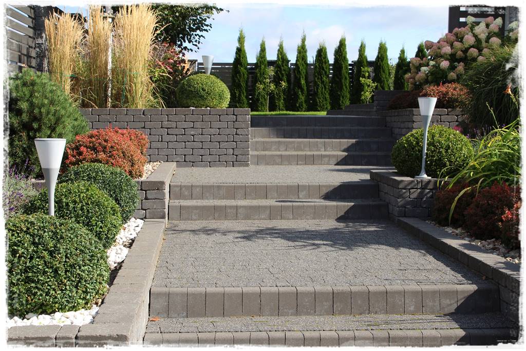 Zimozielone liście 6d