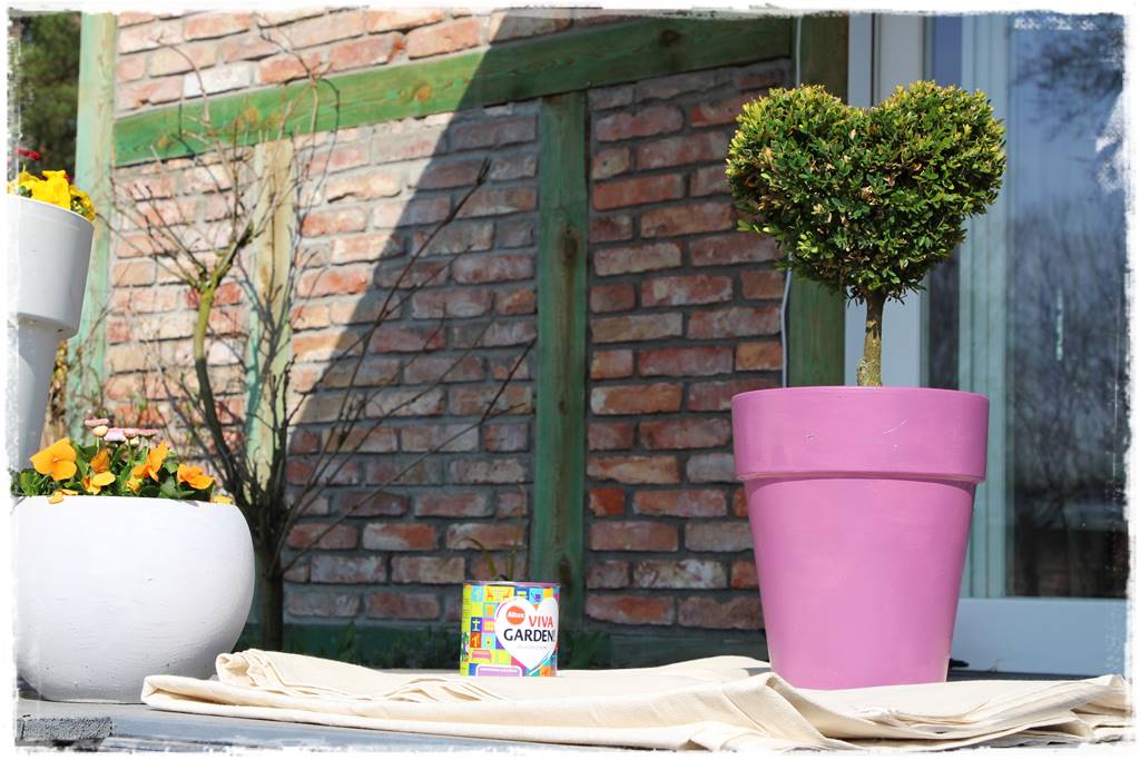 Zimozielone liście 6g