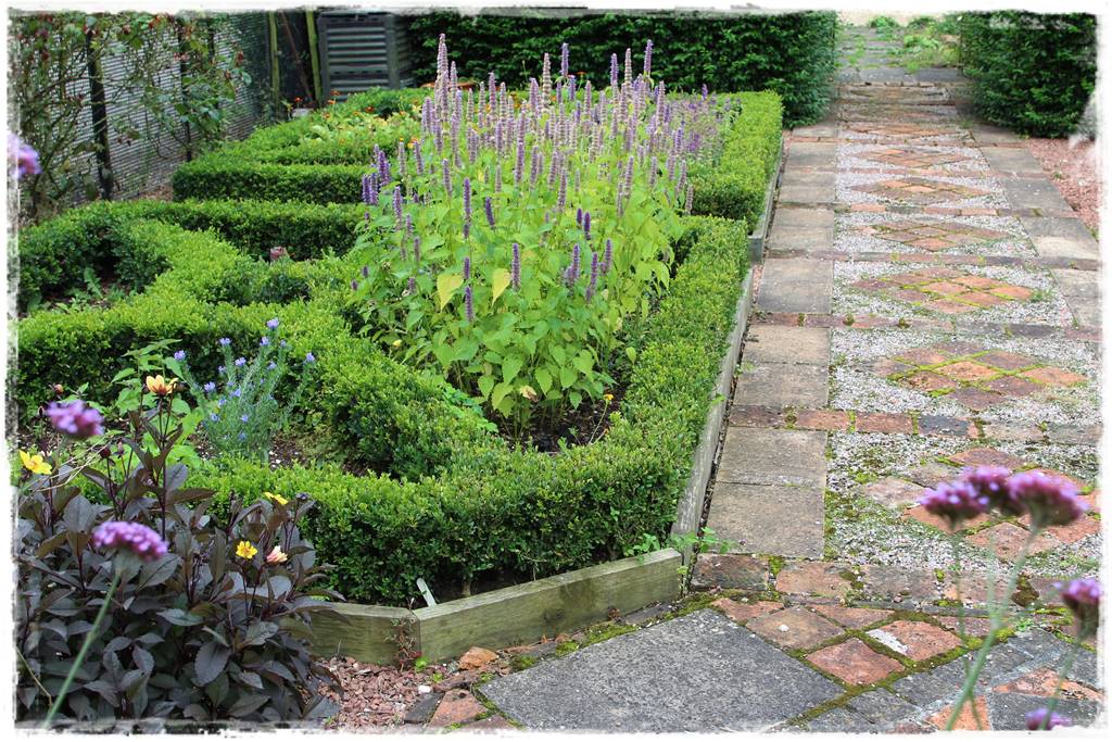 Zimozielone liście 6i