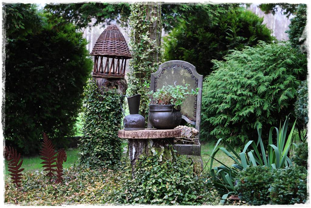 Zimozielone liście 8c