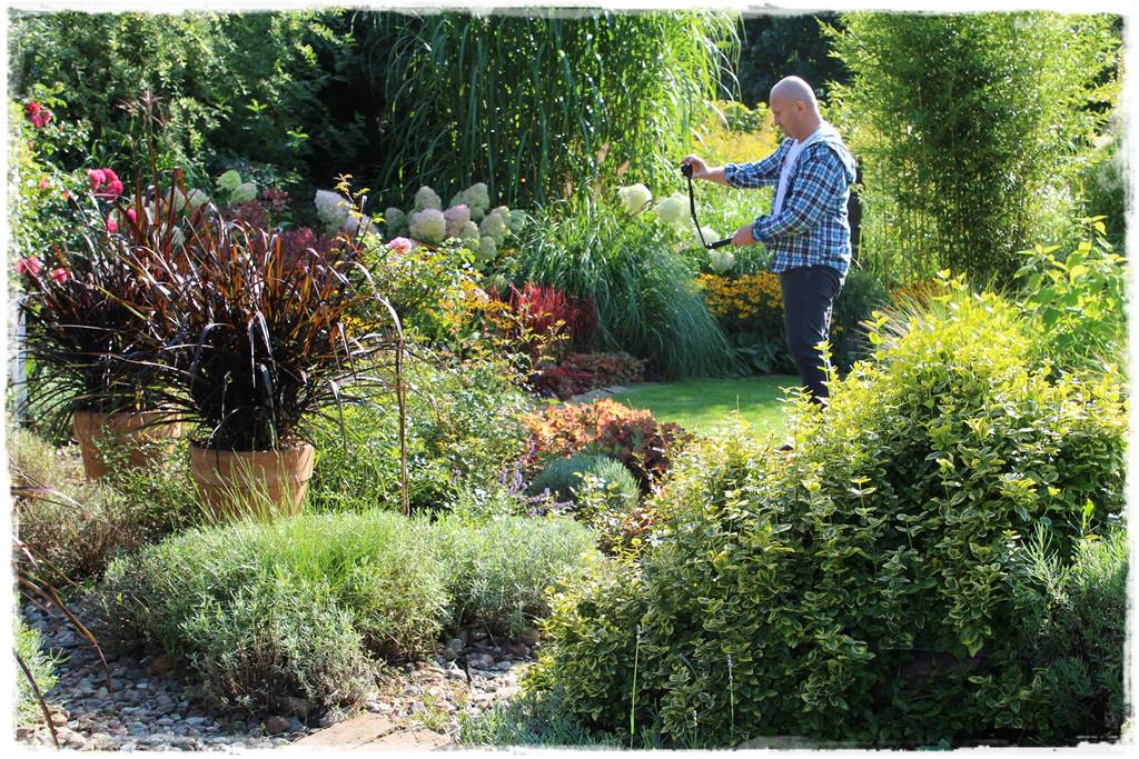 Zimozielone liście 8g