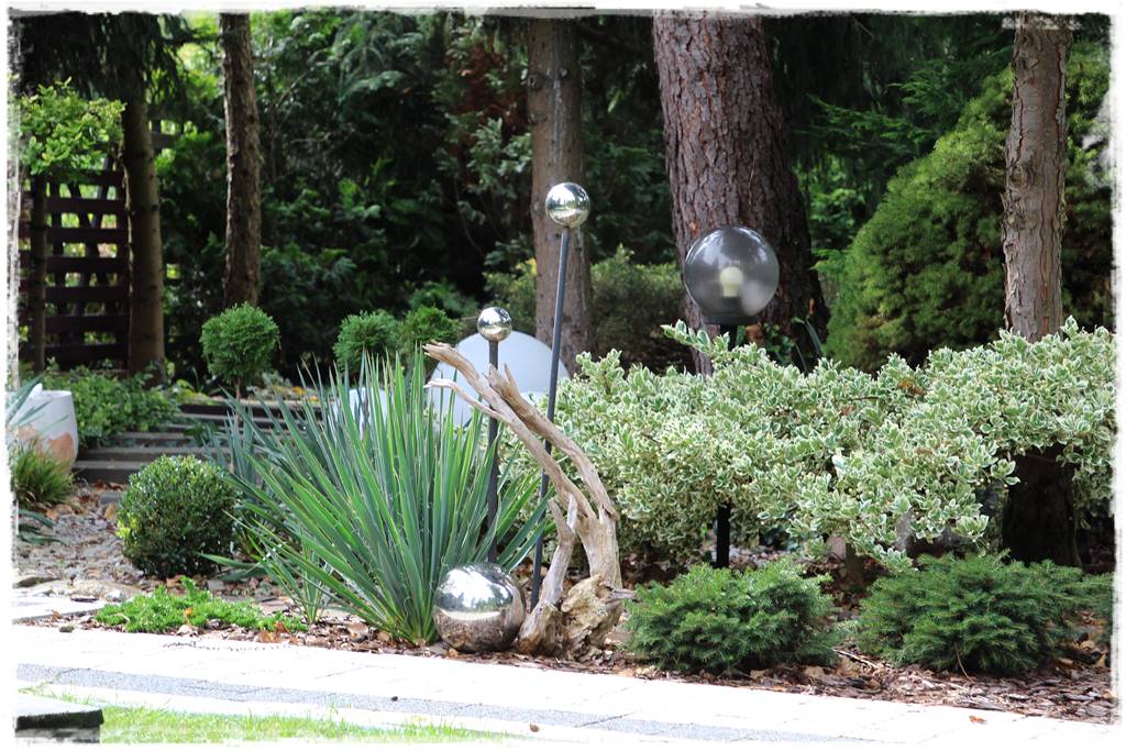 Zimozielone liście 8h