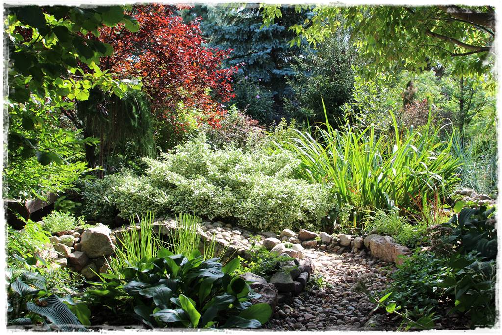 Zimozielone liście 8k