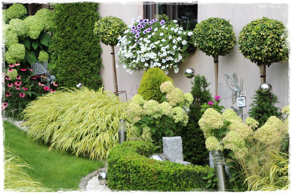 Zimozielone liście 8r