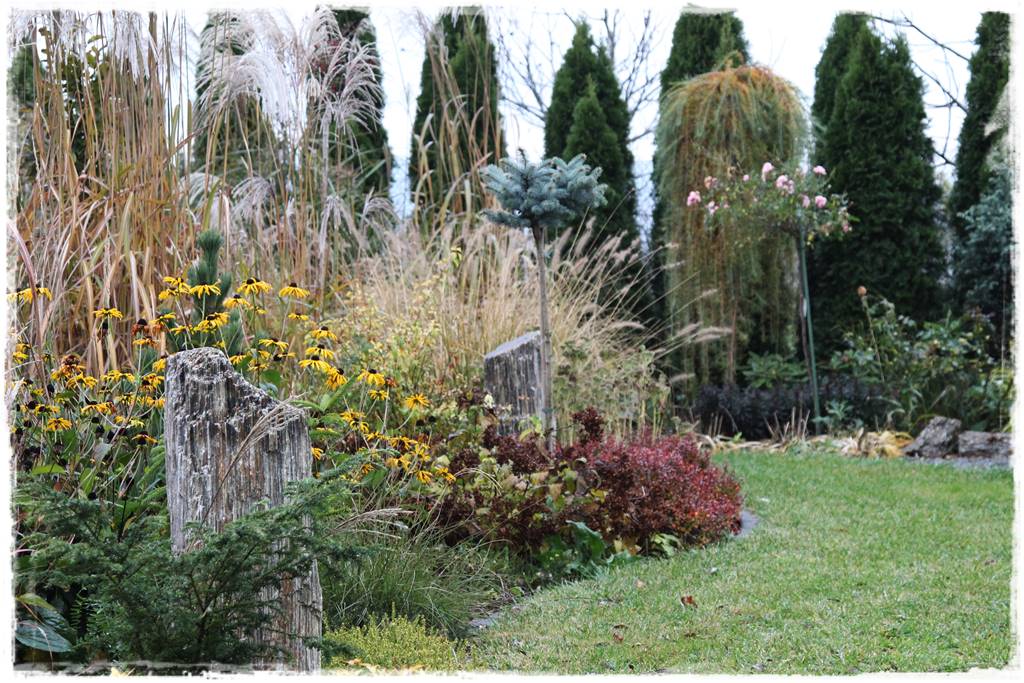 głazy gnejsowe 2 głazy gnejsowe 2