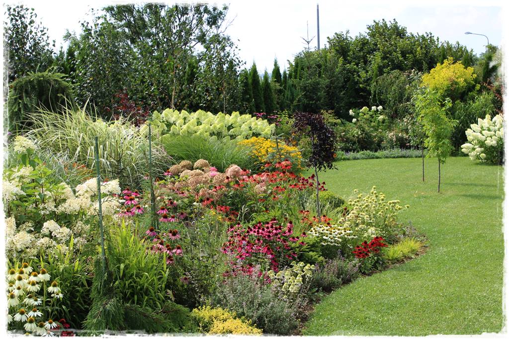 głazy gnejsowe 20 głazy gnejsowe 20