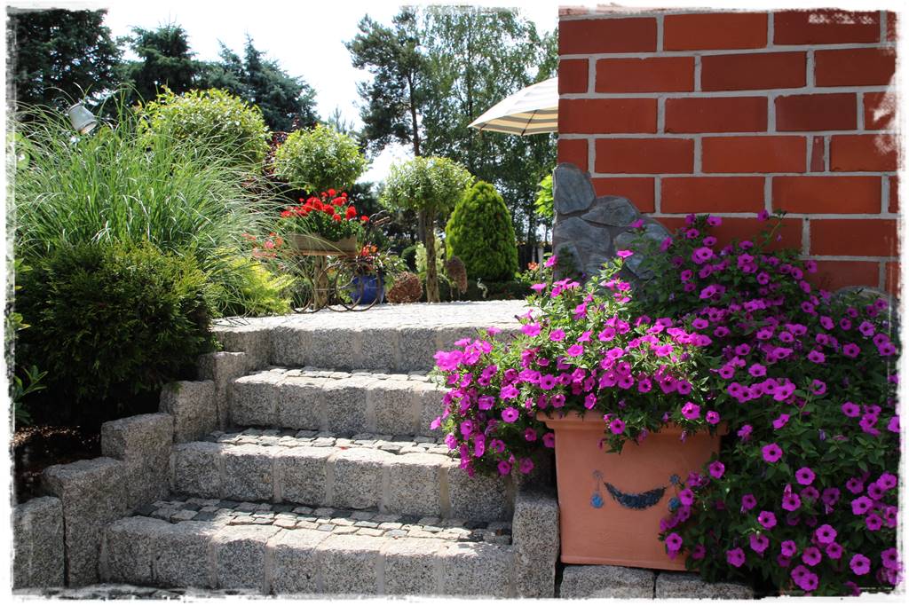 Aranżacja tarasu z kostki 4 Aranżacja tarasu z kostki 4