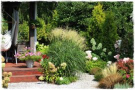 Aranżacja wokół tarasu 1