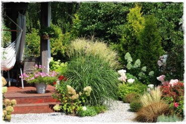 Aranżacja wokół tarasu 1