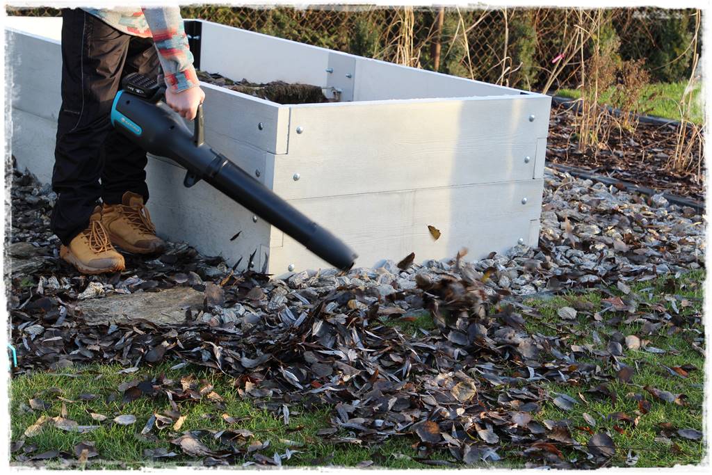 Jesienne liście czy trzeba je grabić 21 Jesienne liście czy trzeba je grabić 21