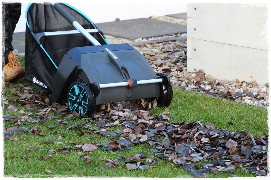 Jesienne liście czy trzeba je grabić 22 Jesienne liście czy trzeba je grabić 22