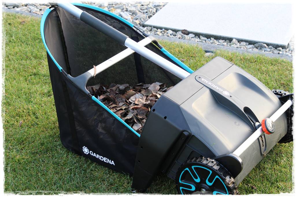 Jesienne liście czy trzeba je grabić 24 Jesienne liście czy trzeba je grabić 24