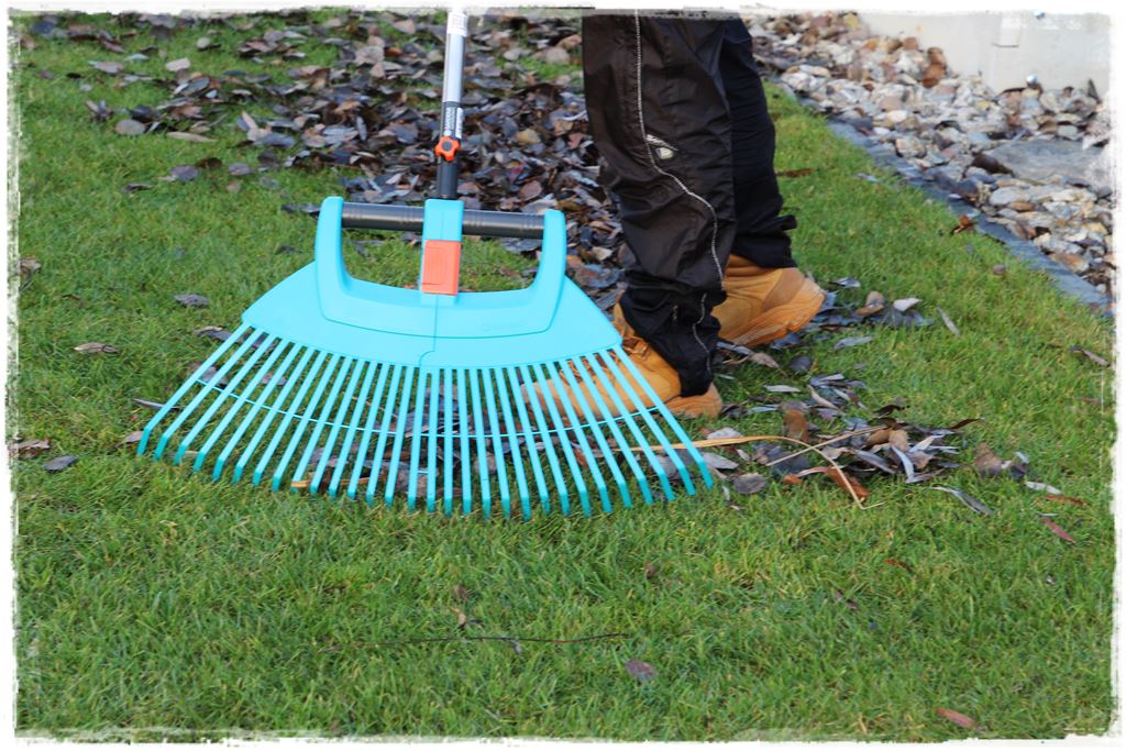 Jesienne liście czy trzeba je grabić 25 Jesienne liście czy trzeba je grabić 25