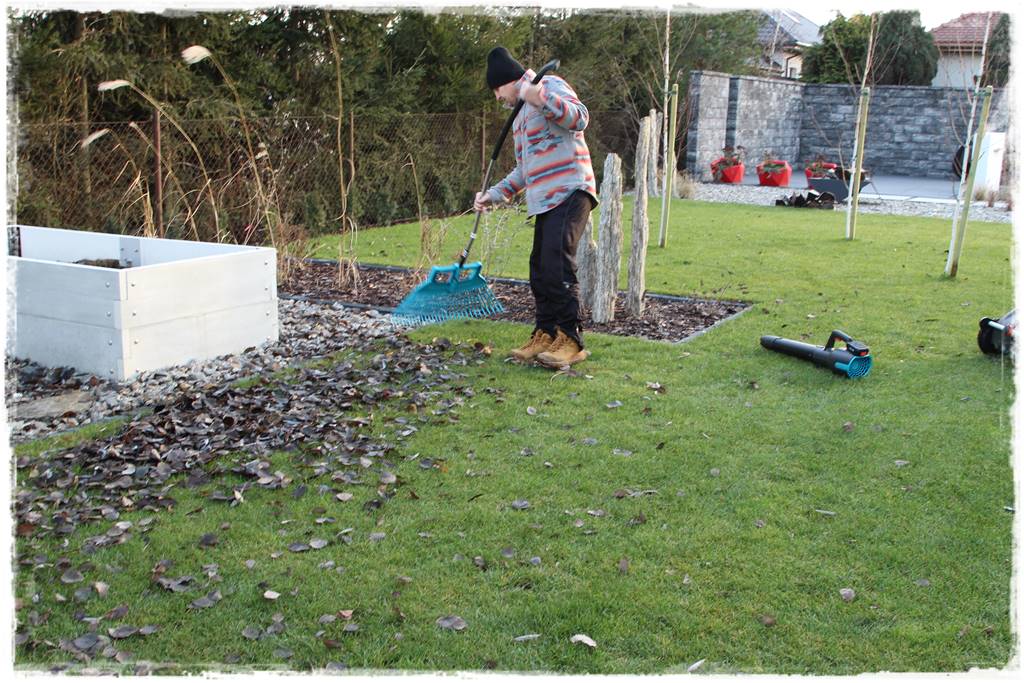 Jesienne liście czy trzeba je grabić 26 Jesienne liście czy trzeba je grabić 26