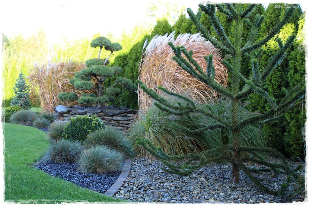 Kora kamienna w ogrodzie aranżacje 20