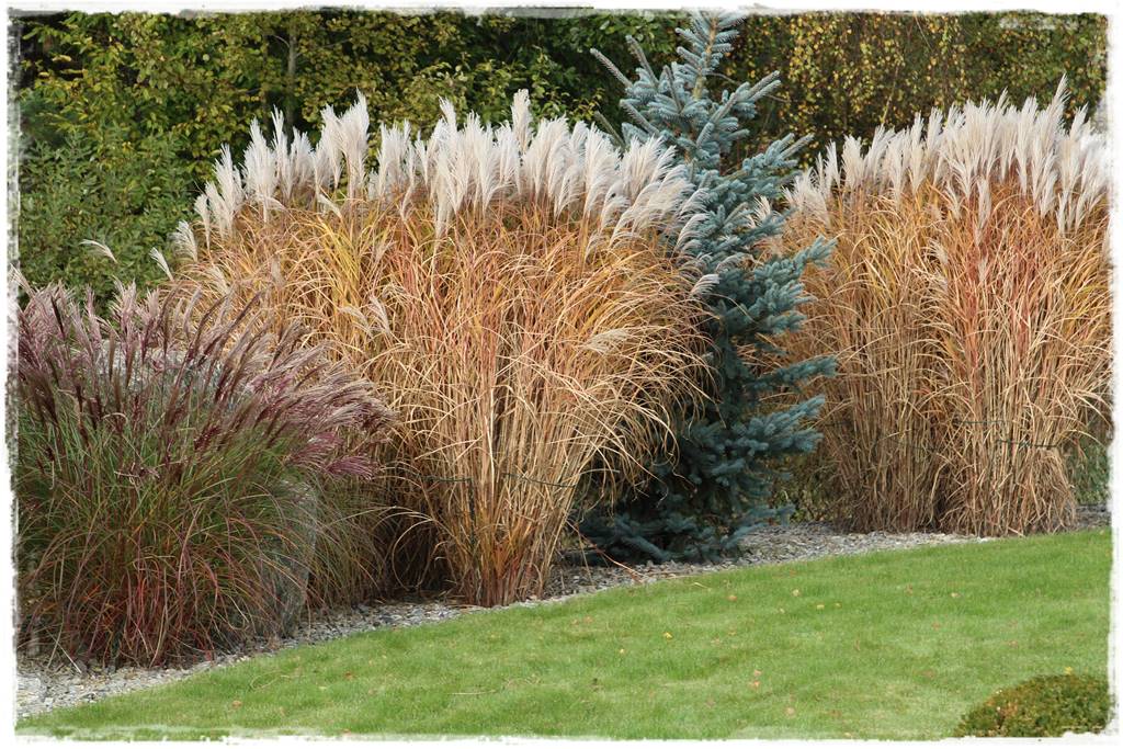 Kora kamienna w ogrodzie aranżacje 30f