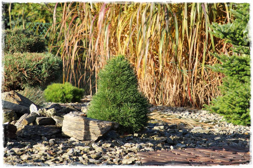 Kora kamienna w ogrodzie aranżacje 30i