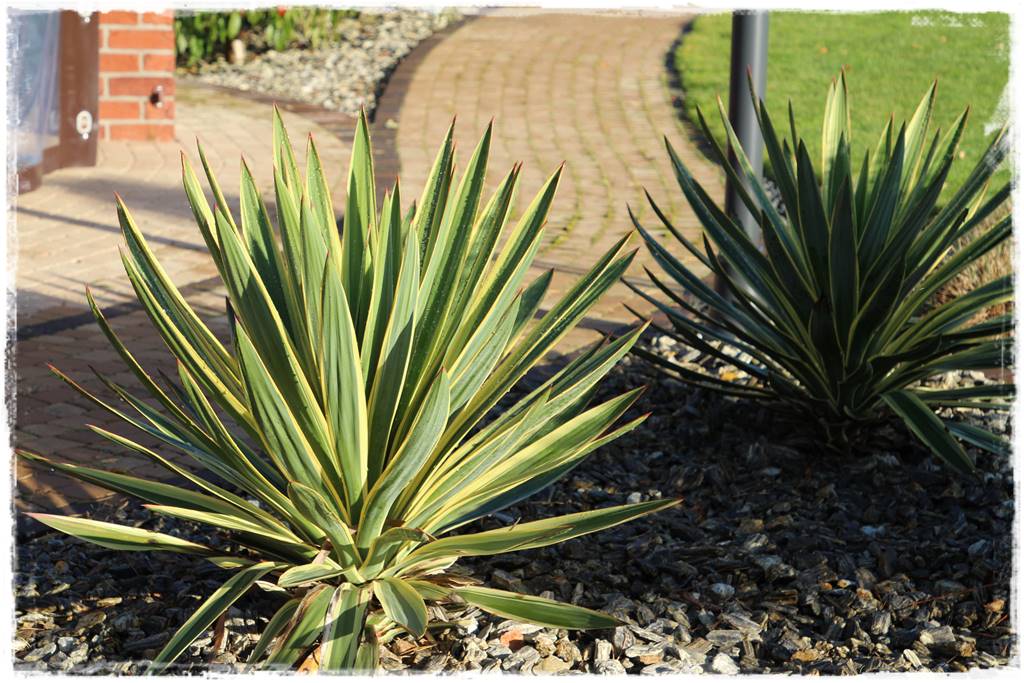 Kora kamienna w ogrodzie aranżacje 40a