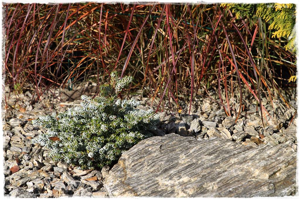 Kora kamienna w ogrodzie aranżacje 5
