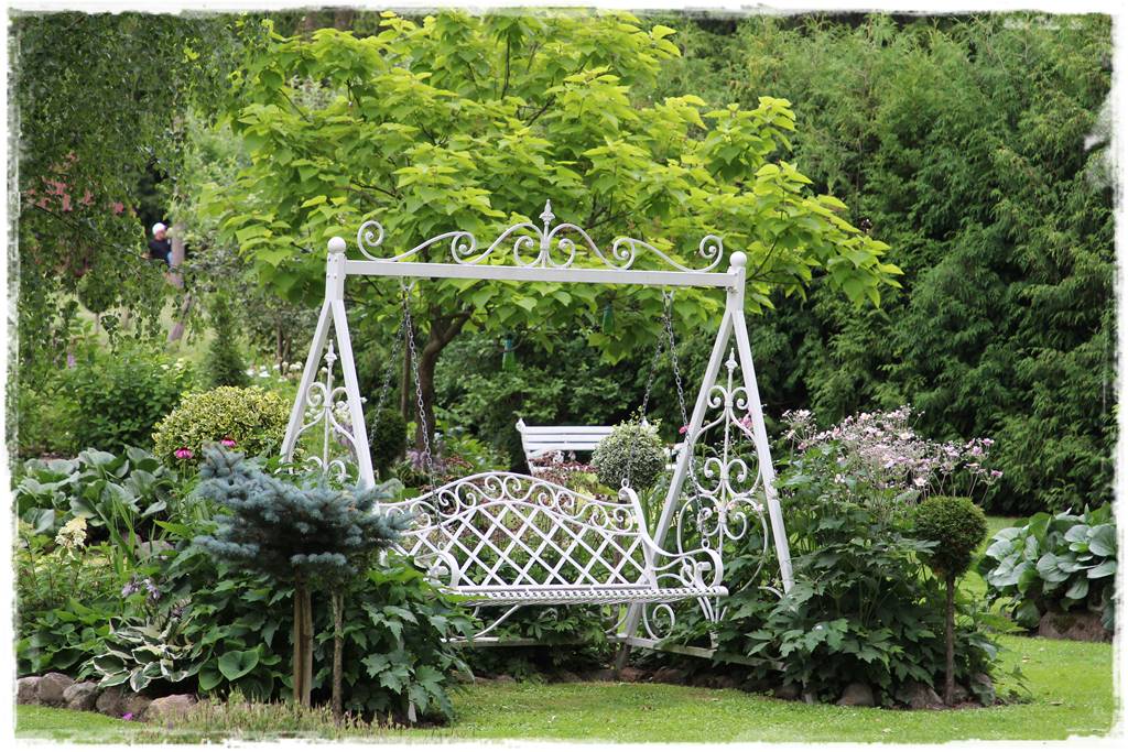 Świerk w ogrodzie aranżacje 202 Świerk w ogrodzie aranżacje 202