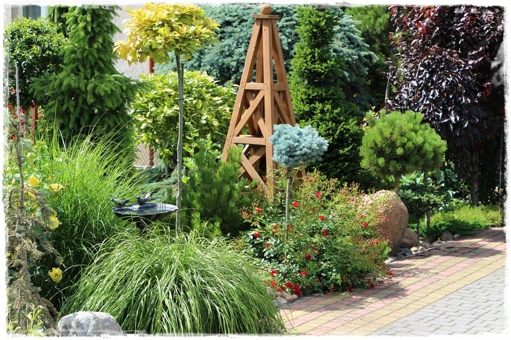 Świerk w ogrodzie aranżacje 206 Świerk w ogrodzie aranżacje 206