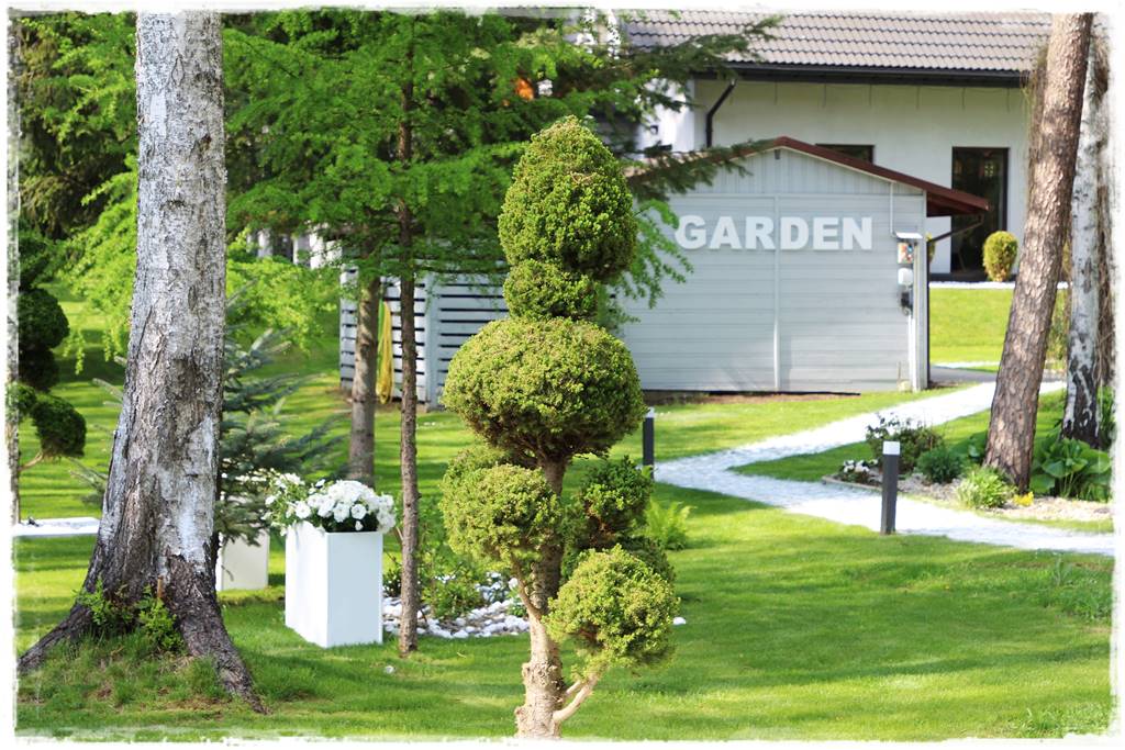 Świerk w ogrodzie aranżacje 307 Świerk w ogrodzie aranżacje 307