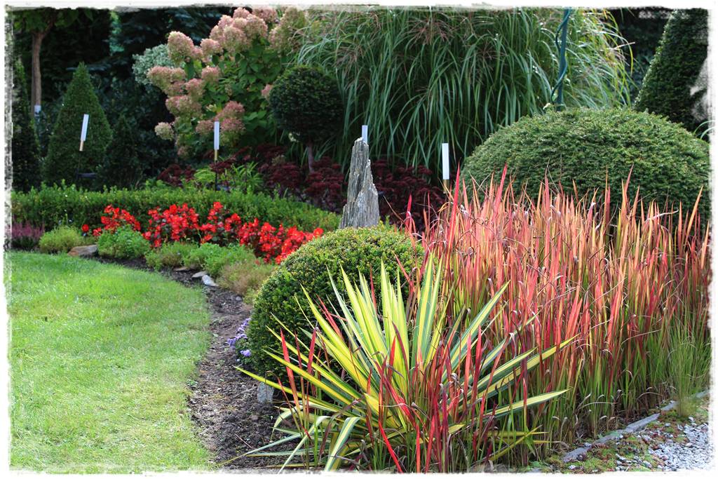 Trawy w ogrodzie aranżacje 110 Trawy w ogrodzie aranżacje 110