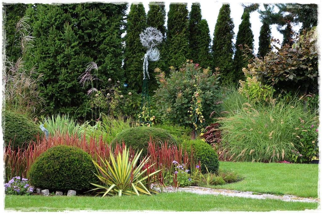 Trawy w ogrodzie aranżacje 110e Trawy w ogrodzie aranżacje 110e