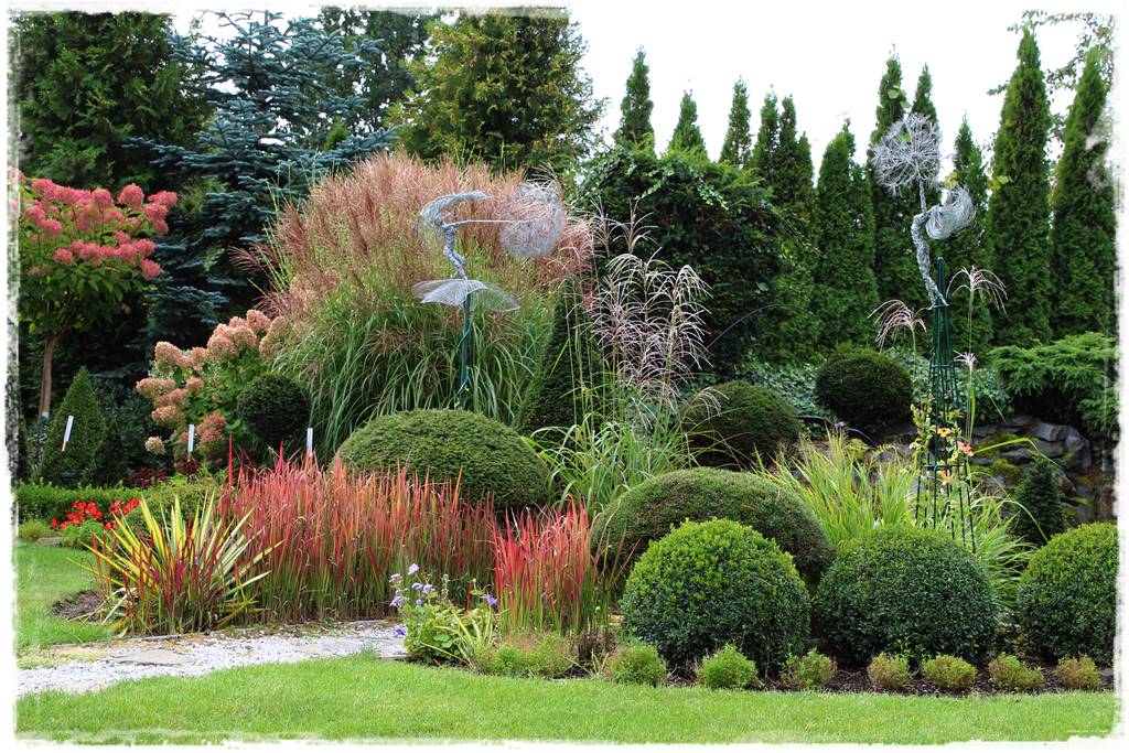 Trawy w ogrodzie aranżacje 110h Trawy w ogrodzie aranżacje 110h